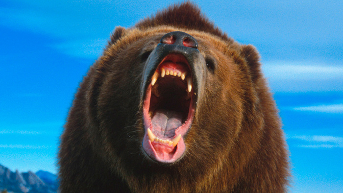 � �������� - � ��������!