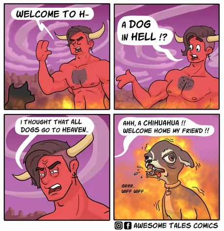 A dog in hell ?! Oh yeah ... - Humor, Hell, Chihuahua, Comics, Dog