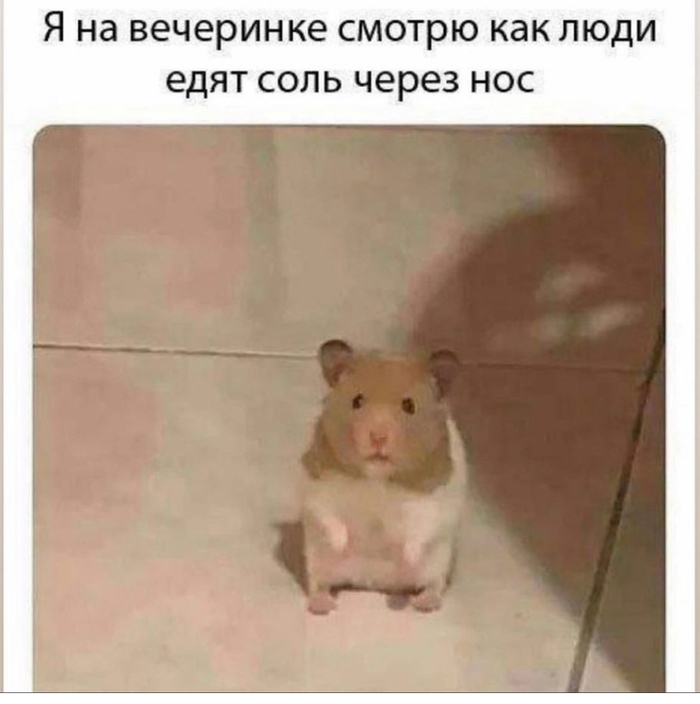 ����� ������ �� �� �� ���������