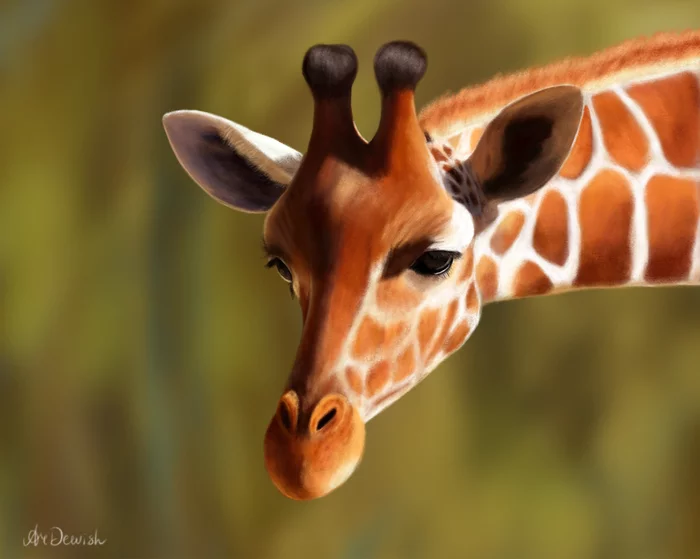 Giraffe - My, Giraffe, Procreate, Digital drawing, Artist, Sketching, Video