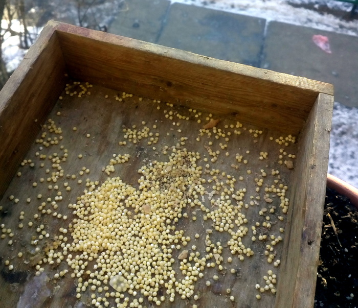 ��������� �����������