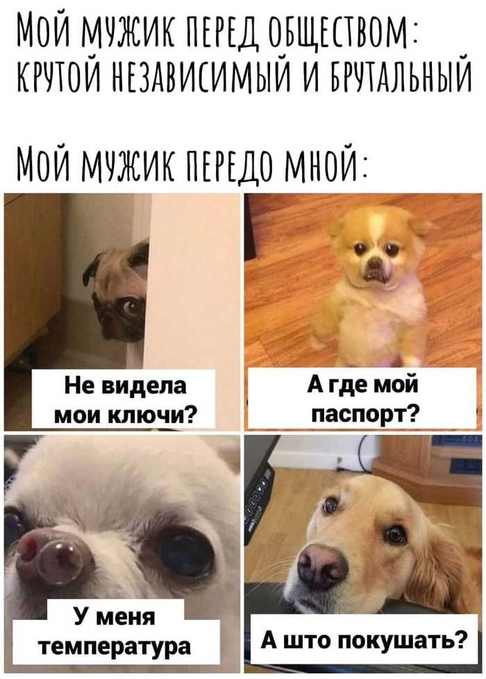 Мужик перед обществом и мужик дома...