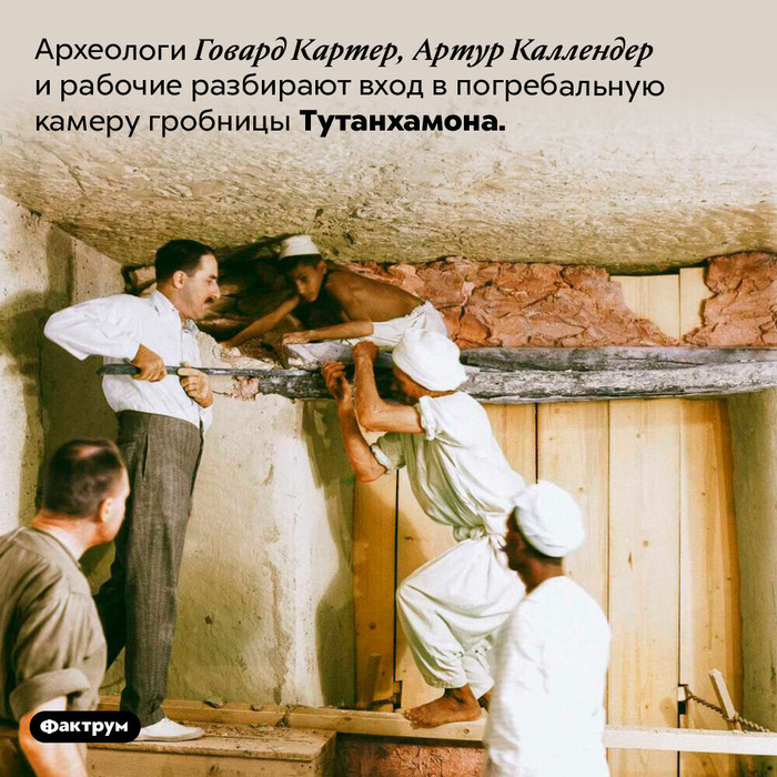 Что измеряется в килограммах. Смотреть фото Что измеряется в килограммах. Смотреть картинку Что измеряется в килограммах. Картинка про Что измеряется в килограммах. Фото Что измеряется в килограммах