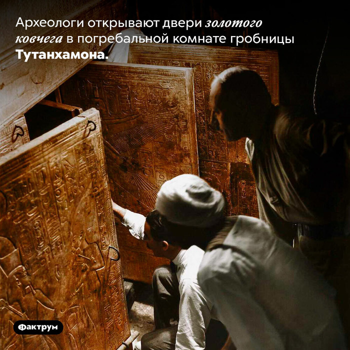 Что измеряется в килограммах. Смотреть фото Что измеряется в килограммах. Смотреть картинку Что измеряется в килограммах. Картинка про Что измеряется в килограммах. Фото Что измеряется в килограммах