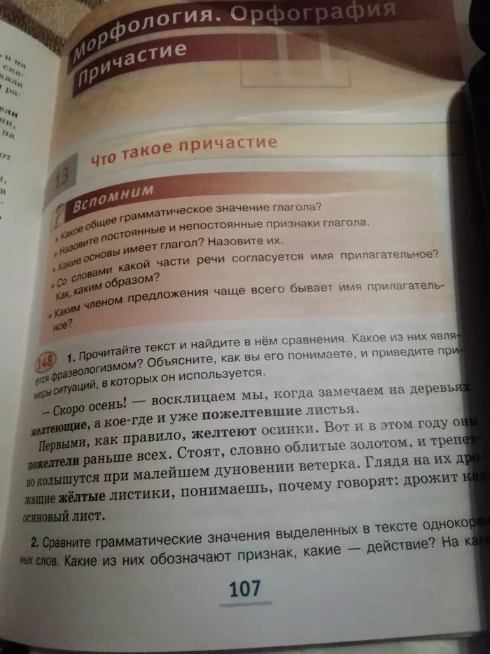 Почему дети окончив школу ничего не помнят - Моё, Учебник, Причастие, Физика, Математика, Точные науки, Выпускники, История, Русский язык, Литература, Длиннопост