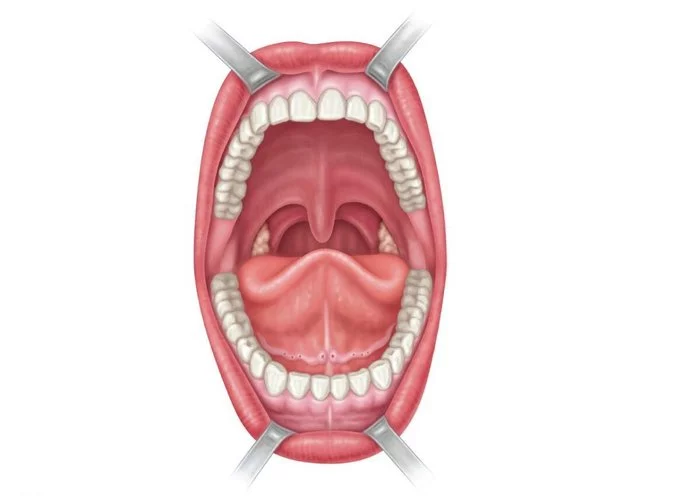 Hidden diseases of the oral cavity - Health, The medicine, Interesting, Longpost