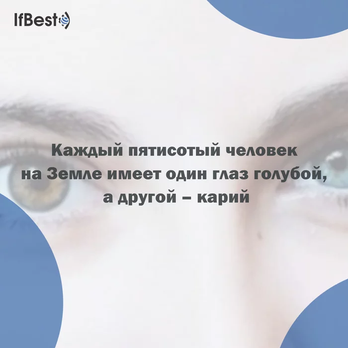 An interesting fact about the eyes - Eyes, Biologists, Biology