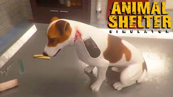 Animal Shelter Simulator Coming To PC On Steam In Q1 2022 - Games, People, Vital, A life