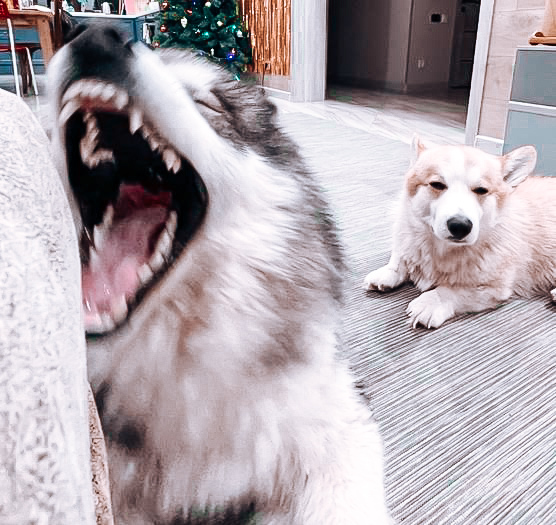 ������ ��� �������� ���������