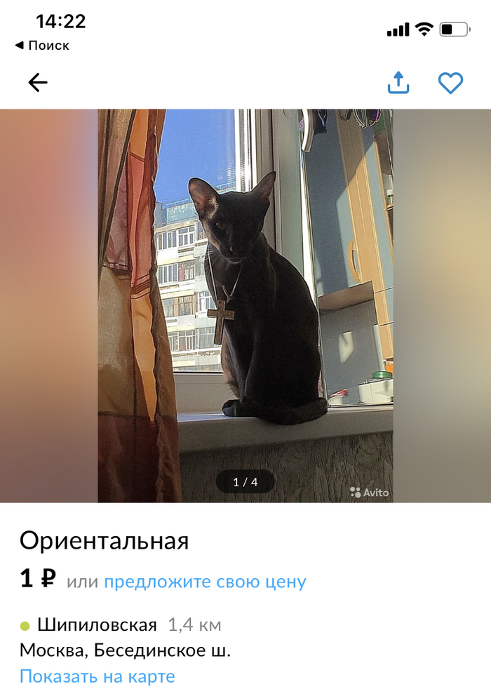 Святой Котец, я согрешила