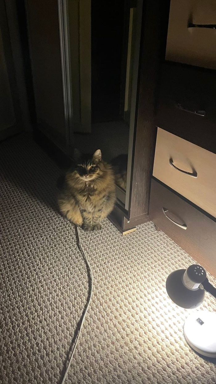 ���������