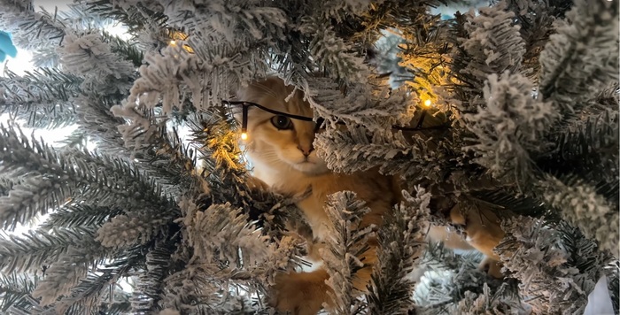 + ��� ���� ����� �� ������