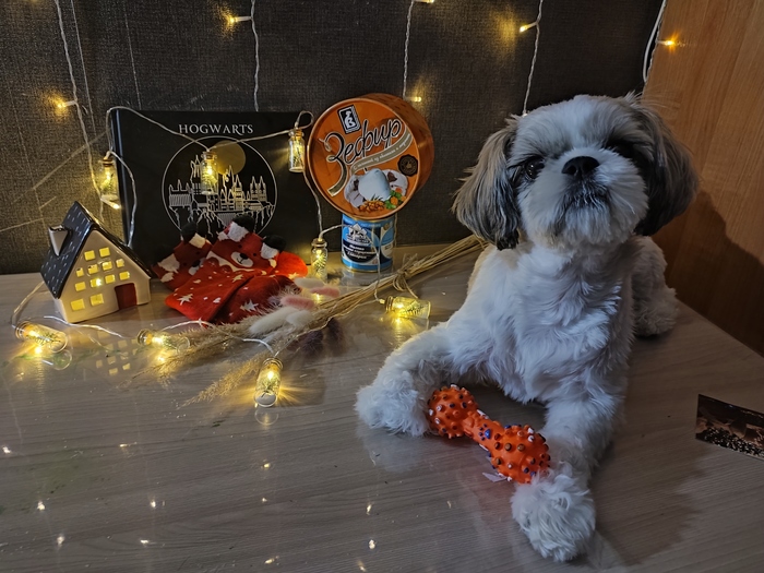 Самая внимательная Снегурочка из Череповца