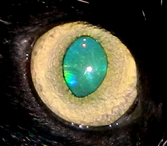 Ответ на пост «Ломаем голову, господа геологи, химики-аналитики и просто пытливые умы:»