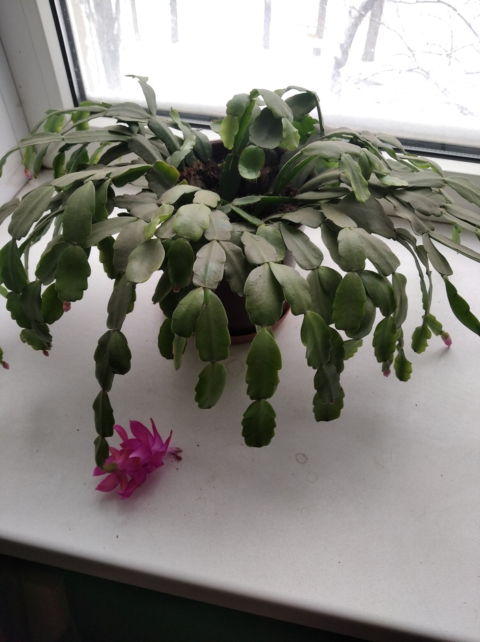 ���� � ����������� ����� �����!