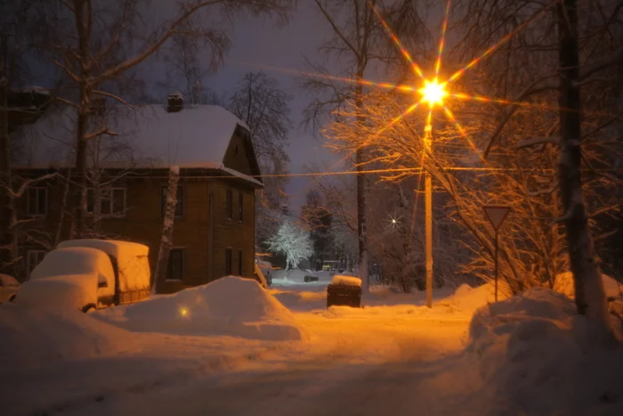 The charm of snowy Arkhangelsk - My, The photo, The nature of Russia, Arkhangelsk, Snow, Snowfall, beauty of nature, Wood, Walk, Tree, Fuck aesthetics, Longpost