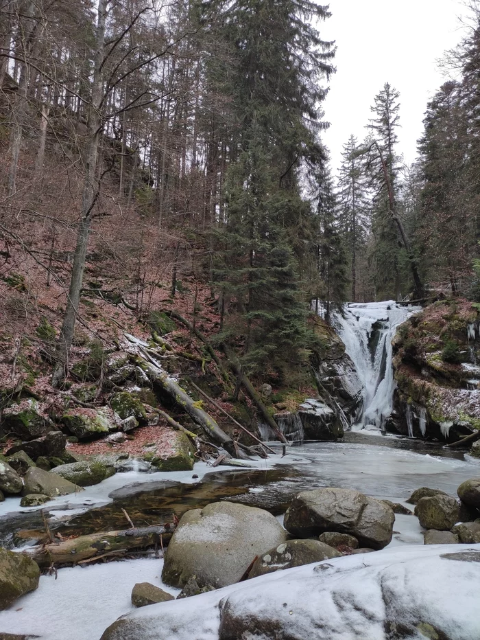 Forest - My, Poland, Nature, beauty of nature, Adventures, Winter, Video, Longpost