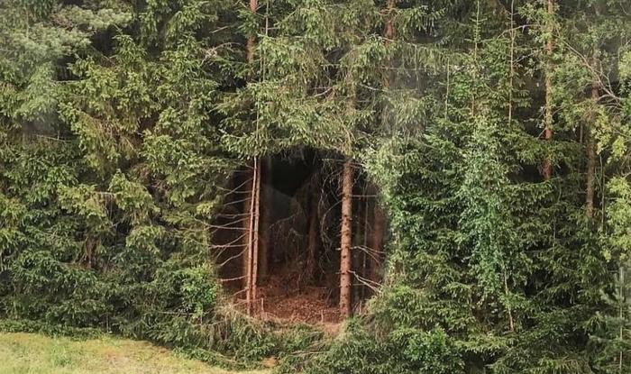 What is shown in the photo? An unusual hole in the Estonian forest - Estonia, Mystery, Riddle with answer, Planet, Interesting