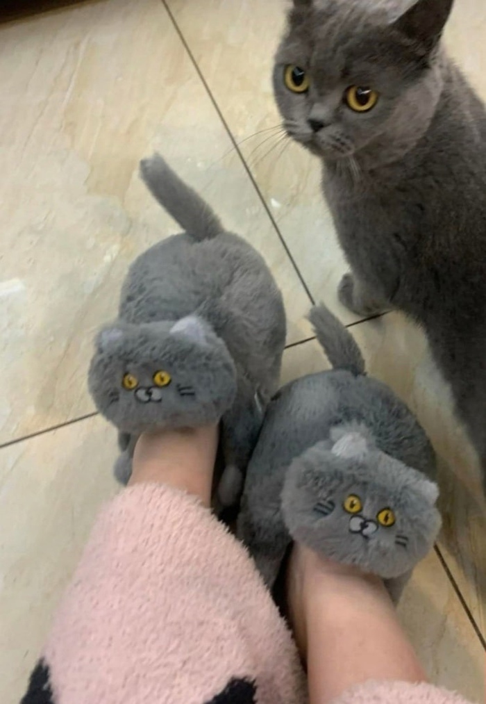 � �� �������, � � ��� �� �����?