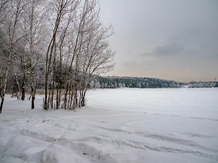 In the snow - My, The photo, Nature, beauty of nature, The nature of Russia