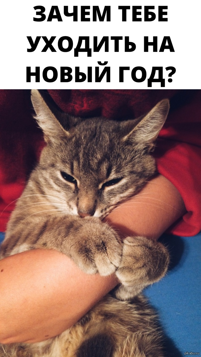   !  , , , 