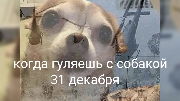 ����� ������� � ������� 31 �������