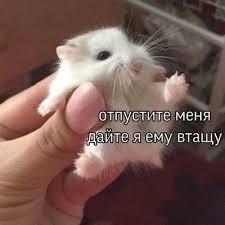 ТТК, горите в аду, пожалуйста