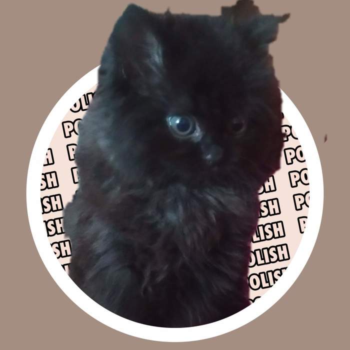 ���� � ����������� ����� �����!