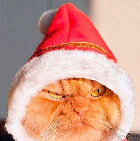 С наступающим Новым годом!