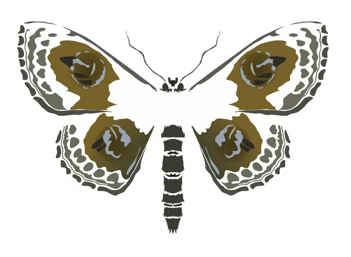 Another butterfly for another postcard - My, Vector, Corel draw, Piadenica, Butterfly