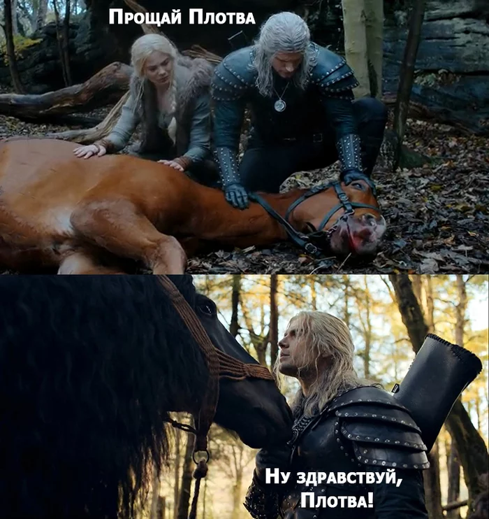 roach - My, Images, The photo, Screenshot, Memes, Games, Books, Serials, Witcher, Ciri, Geralt of Rivia, Roach