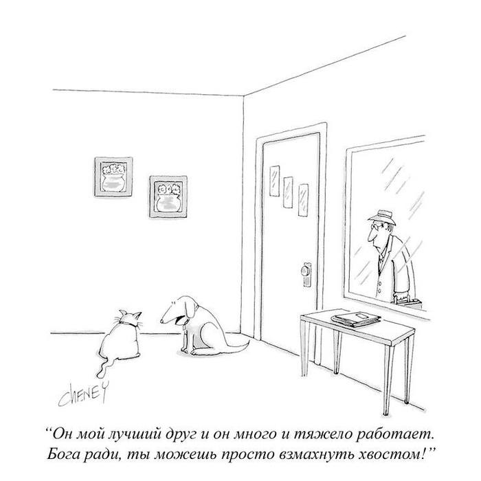 ,     , , The New Yorker, 
