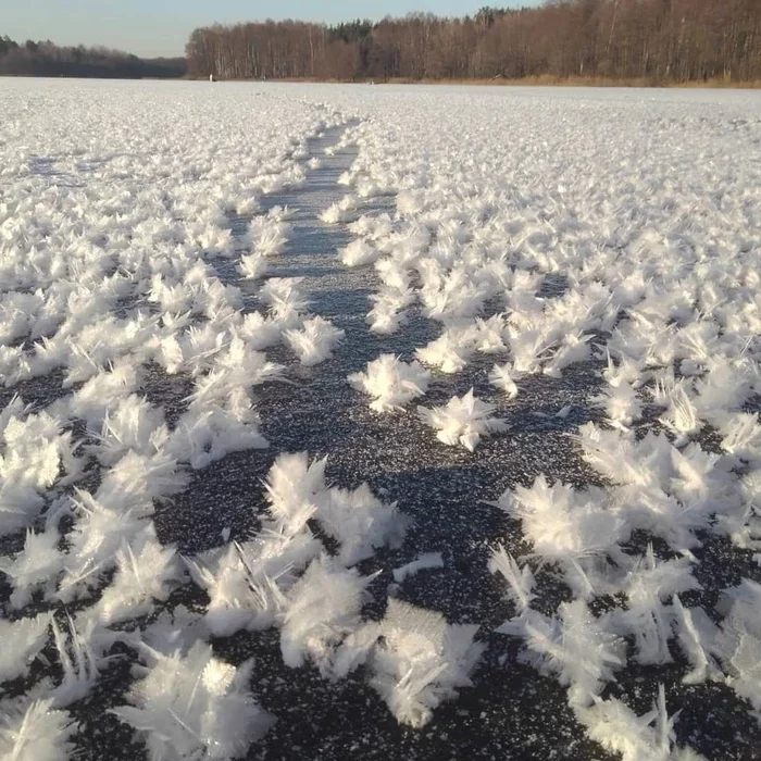 Snow flowers - Snow, Patterns, Unusual, River, Ice, The photo, Longpost