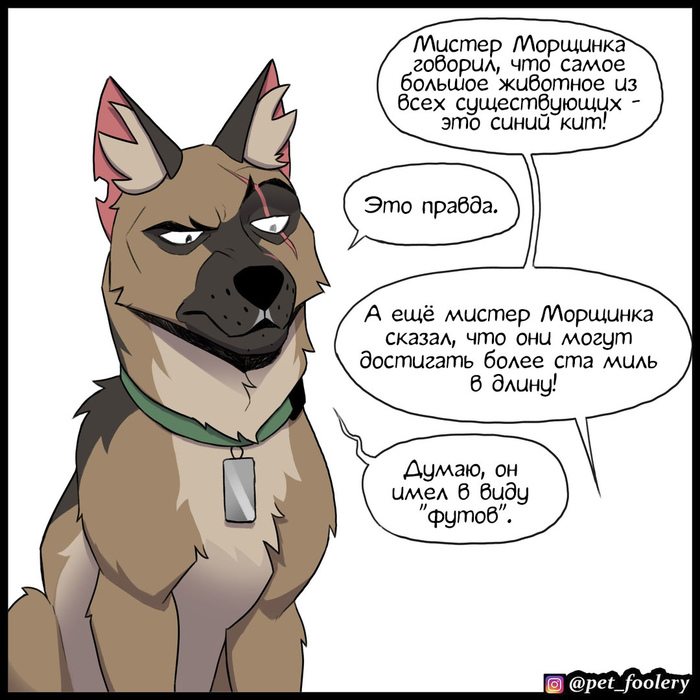 бугагашенька что это значит. Смотреть фото бугагашенька что это значит. Смотреть картинку бугагашенька что это значит. Картинка про бугагашенька что это значит. Фото бугагашенька что это значит бугагашенька что это значит. Смотреть фото бугагашенька что это значит. Смотреть картинку бугагашенька что это значит. Картинка про бугагашенька что это значит. Фото бугагашенька что это значит