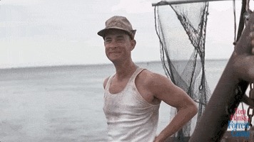     , , , 