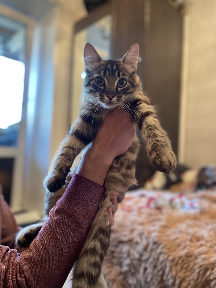 ������. ������