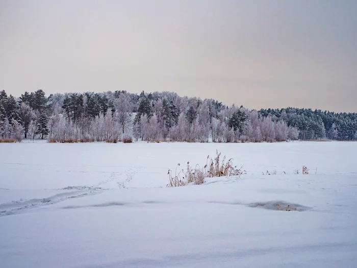 Winter minimalism - My, The photo, beauty of nature, The nature of Russia, Longpost