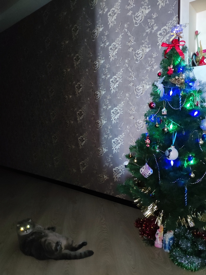 �� ��� ���������, �������? � ��� �������� �� ��� �����������)