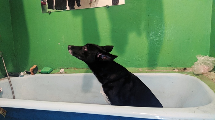 ������ �������!