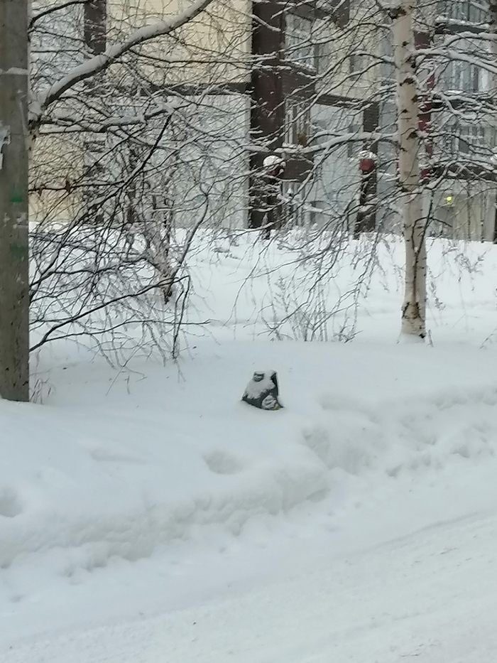 �������� ����