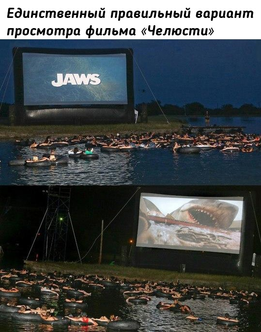 Summer cinema - Retro, The photo, Jaws, Repeat