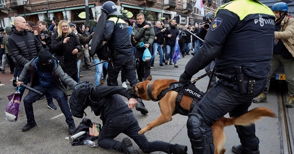 Собаки против людей. Протесты в Амстердаме 2022. Разгон демонстрантов вснидерландах. Протест в Нидерландах собака. Нидерланды разгон демонстрации.