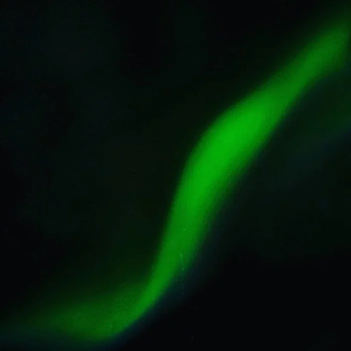 Northern lights now - My, The photo, Polar Lights, Longpost