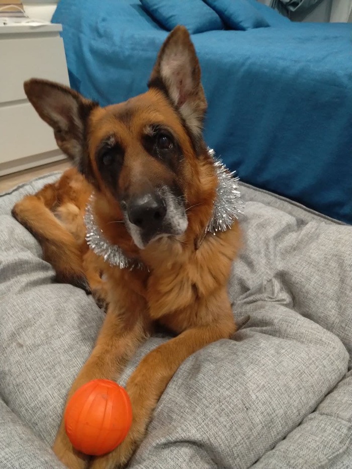 С наступившим!