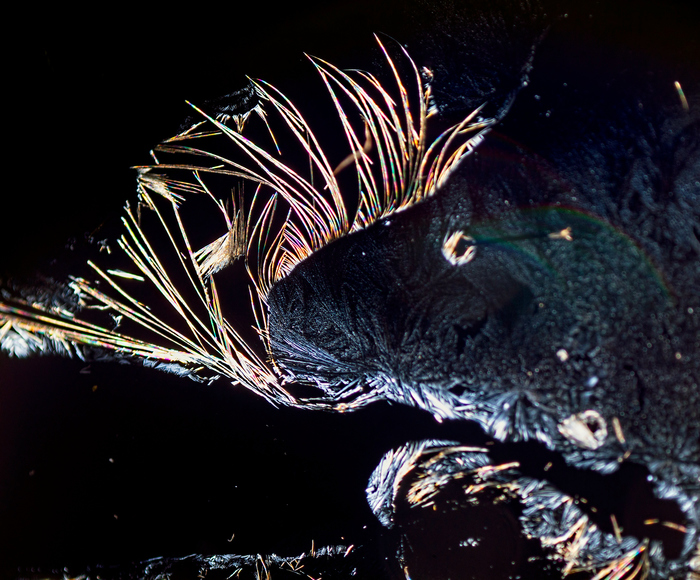 Мышь новогодняя