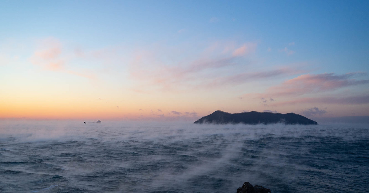 Дальние моря. Дальний Восток море. Кипящее море. Море закипело. Море в Находке осенью.