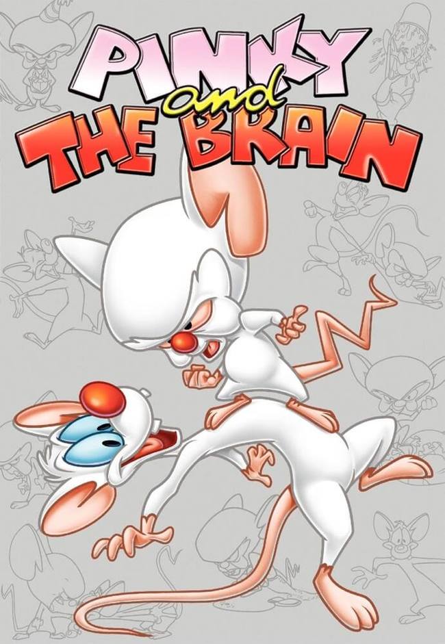 Mice who dreamed of taking over the world. The history of the animated series Pinky and the Brain and Pinky, Elmira and the Brain. Part one - My, Serials, Spoiler, Cartoons, Foreign serials, Comedy, Pinky and Brain, Mouse, Longpost