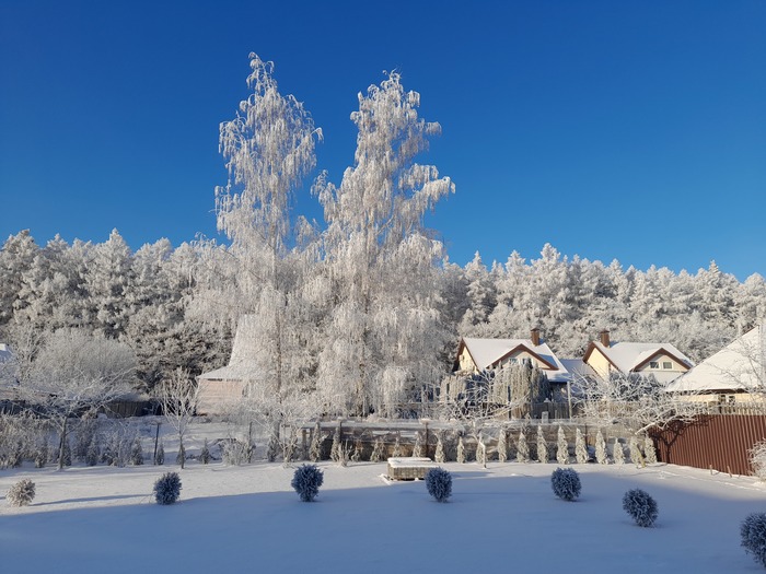 ��� ������ �����