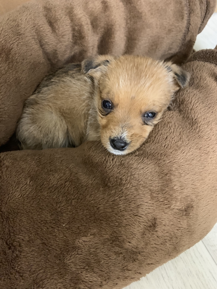 ����� �������