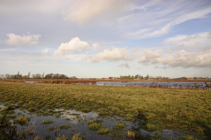 Новый год в Голландии